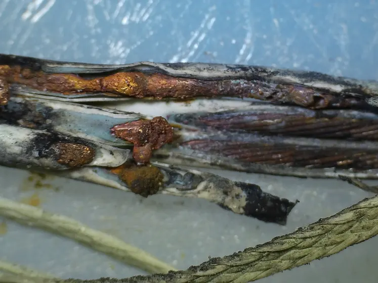 Degraded wire bundle with cracked insulation under analysis